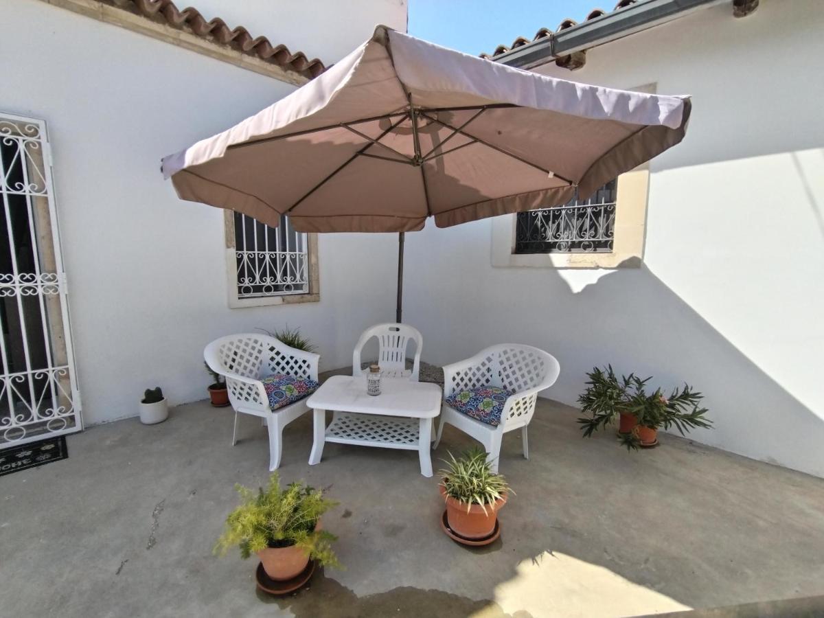 Hibiscus Siracusa Syracuse Bagian luar foto